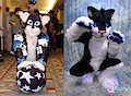 Frostcat - Then and Now
