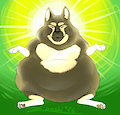 super chubby ilumination 