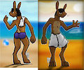 Bradley Colour Reference (by liquidFIRE00z)