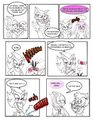 SONIC BABY 11