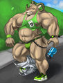 Stream Stuff - Ram guy