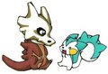 Cubone and Pachirisu