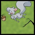 Nuts to squirrels