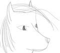 Abstract Canine