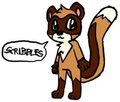 Scribbles Ferret! X3 by KalunaRingtail