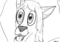 DreadFox
