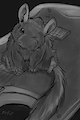 *C*_Little troublemaker