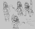 Vlair Expressions sheet1 2016 CG