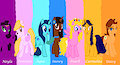 Husky Seven