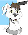 Oddy - Huh? Headshot by Friti