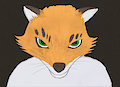 Ash Fox