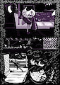 Various Happenings - Stripesocks (Part 1) [p.01-18]
