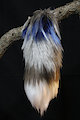 Multicolor Yarn Tail Keychain - FOR SALE by WyrmsWorks