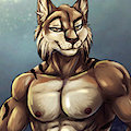 Drake Lynx