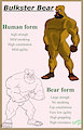 Bulkster Bear forms