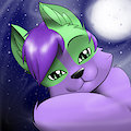 Ninjadog12 Request  by MrMidknight