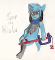 Tony the Riolu (Birthday Gift)