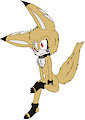 Ashram the fennec