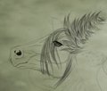 WIP - by Swagtail