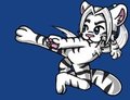 Master Shen Tiger in Action