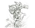 Shadow the hedgehog