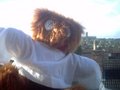 Patient Z handpuppet plush