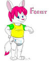 Forest Nashoba Gift Art