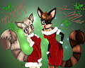Xmas Raccoons