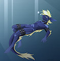 [Commission] Relaxing underwater