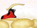 Swancakes