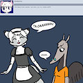 ASK BONNIE & CO 24