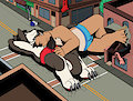 Macro Cuddling