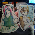 A couple of badges