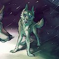 Northern Wind
