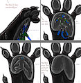 Hungry Paws part 2/4