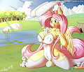 bunnyshy
