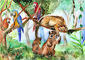 (Maroko) Tropical Forest