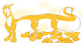 golden back aka goldy