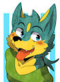 nick X finnick 