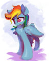 Dache by Asha