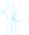 Mouse Walking