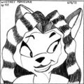 Hand drawn Whitney