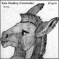 Hand drawn Xaie Donkey