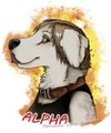 Alpha by Grion