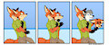 no fooling foxes