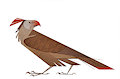 Raptor by Skia