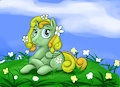 Filly of Spring