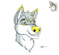 [G] Koito by Bayzan