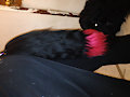 yarn tail for sale