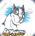 Boxice (Old submission)